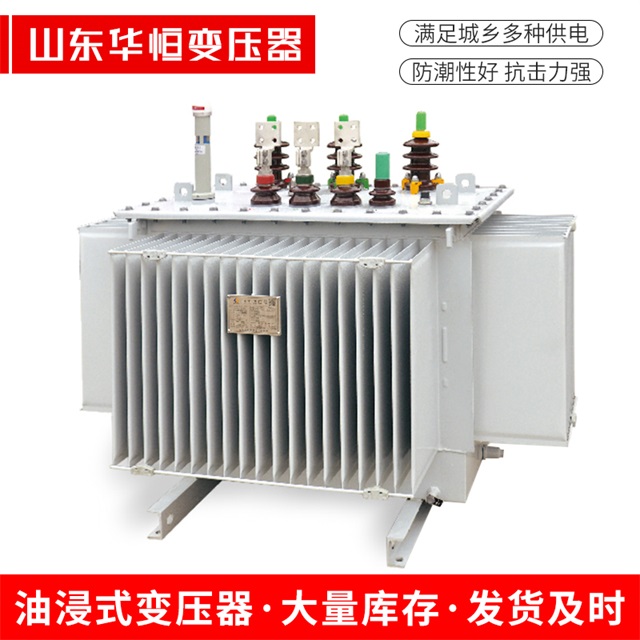 S13-10000/35康保康保康保电力变压器